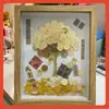 Porta-Retrato Árvore do Dinheiro de Moeda de Cinco Centavos Pacote de Material DIY Feito à Mão Pintura Decorativa Porta-Retrato Árvore do Dinheiro Ornamento de Presente