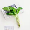 Vaso de Vidro Hidropônico Transparente Minimalista Criativo para Cultivo de Plantas Verdes Como Jiboia, Osmanthus e Pinheiro Arhat