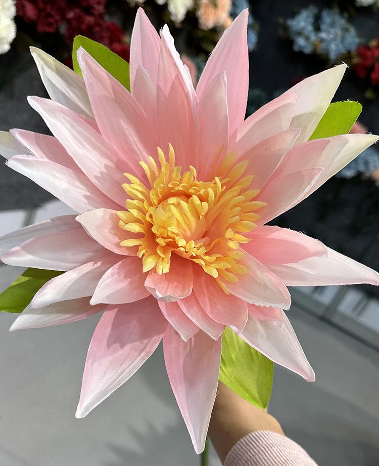 单支富贵荷花-浅粉.jpg