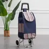 Carrito de Compras de Acero Inoxidable, Carrito Trepador de Escaleras, Carrito Grande Plegable para el Hogar para Personas Mayores, Carrito de Arrastre Manual