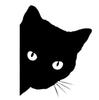 Direto da Fábrica Adesivos de Carro Esgueirando Rosto de Gato Transfronteiriço Gato Animal de Estimação Gato Espiando Gato Adesivos de Carro Refletivos