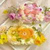 Caja de Pastel de Frutas para Picnic de Primavera, Caja Desechable para Postre Mousse con Corte de Frutas, Caja de Empaque para Dulces y Té de la Tarde