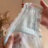 Ropa interior de encaje puro estilo deseo sexy para dropshipping 2026 nuevos calzones de mujer con abertura alta de cintura baja para verano