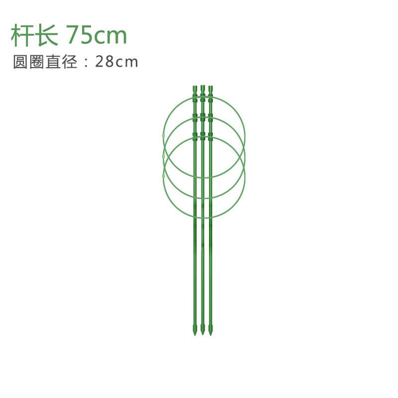 55d5433ac5be66738c41c5027f99f3