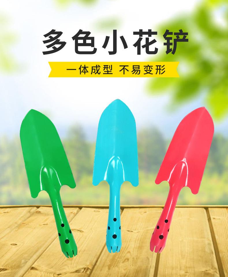 详情_01.jpg