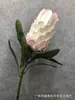 Impresión 3D de Simulación Longevidad Fruta Planta Tropical Flor Imperial Flor de Princesa de Sudáfrica Decoración de Boda Decoración del Hogar