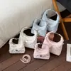 Bolso de Mano Coreano de Nicho de Gama Alta, Pequeño y Exquisito, Adecuado para el Trabajo y los Viajes Diarios, Nuevo Modelo 2026 Bolso Cruzado para Mujer