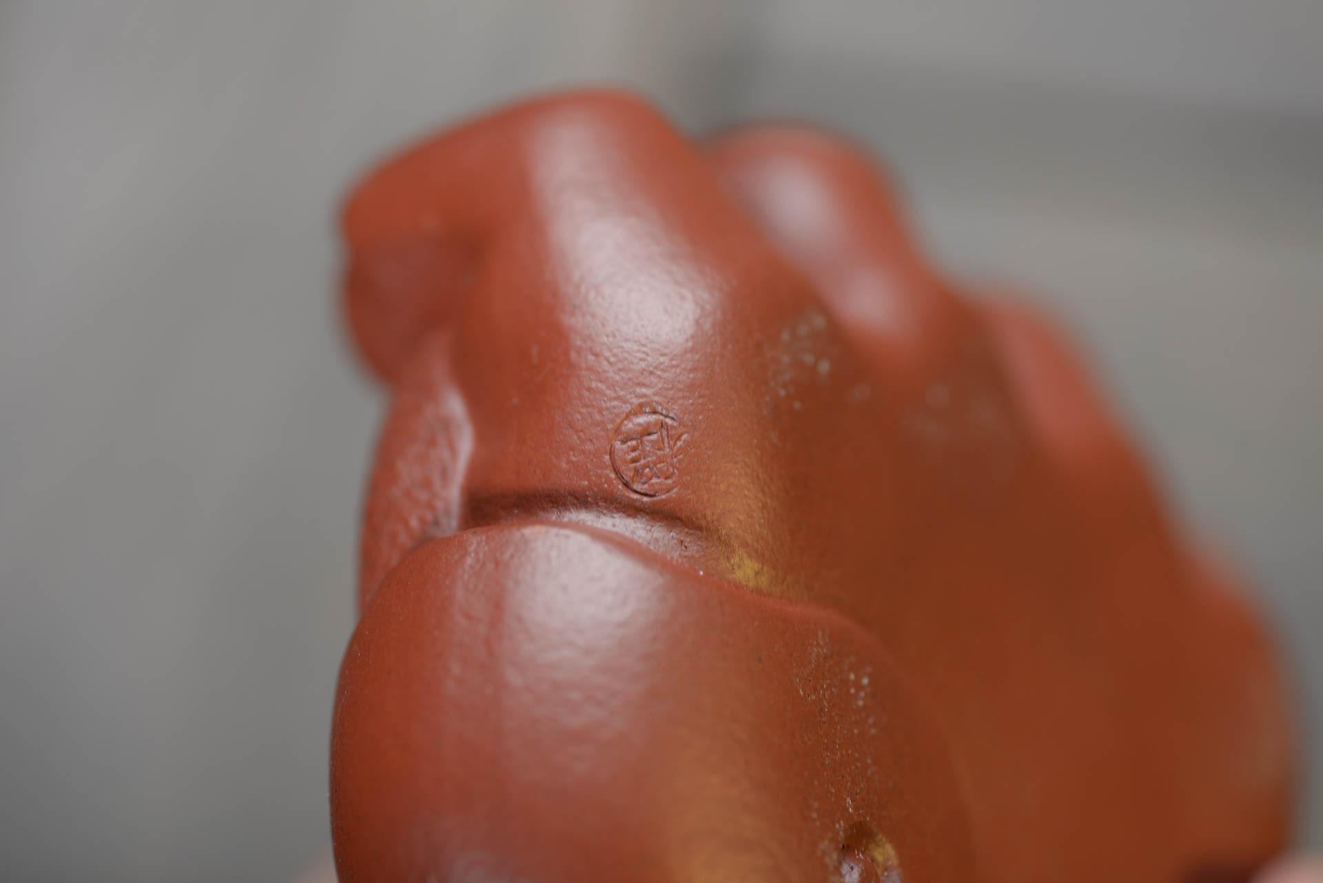 大红袍掌握乾坤88