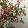 Considerable simulación estilo europeo de fruta silvestre pequeña fruta rica manzana pequeña decoración ramas de frutos rosa estilo campestre americano lichi albaricoque fruta