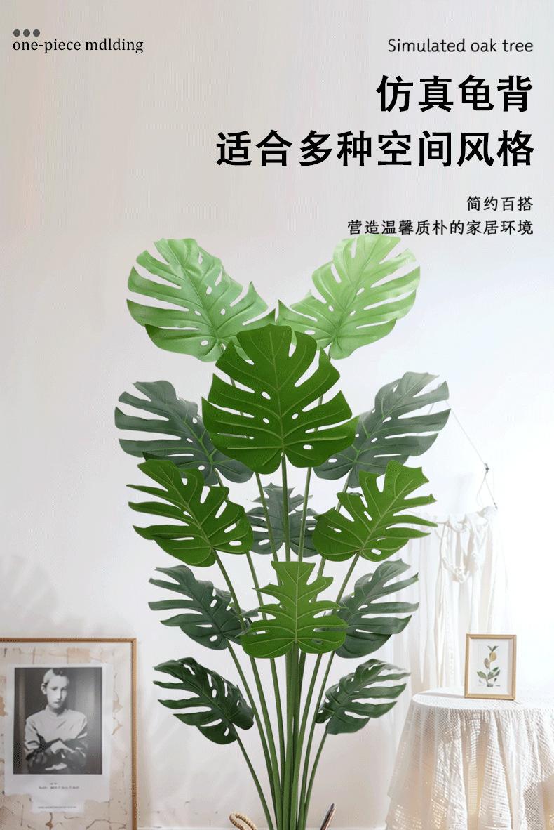 龟背-详情_01.png