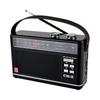 Radio FM FM portátil con Bluetooth de banda completa, venta al por mayor, para personas mayores, audio de gran volumen
