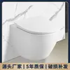 Vaso Sanitário de Parede, Vaso Sanitário de Embutir na Parede, Vaso Sanitário Suspenso de Cerâmica, Vaso Sanitário Suspenso para Apartamento Pequeno, Saída Horizontal, Econômico e Ecológico
