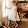 Roupas Infantis, Estilo Verão, Saias Infantis, Vestidos, Vestidos de Princesa para Meninas, Vestidos Doces para Crianças Maiores, Vestidos da Moda para Meninas