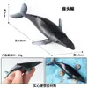 Brinquedos Infantis Sólidos Transfronteiriços Mini Modelo do Oceano Criaturas Biológicas Realistas Tubarão-Baleia Tartaruga Marinha Golfinho Orca Figuras