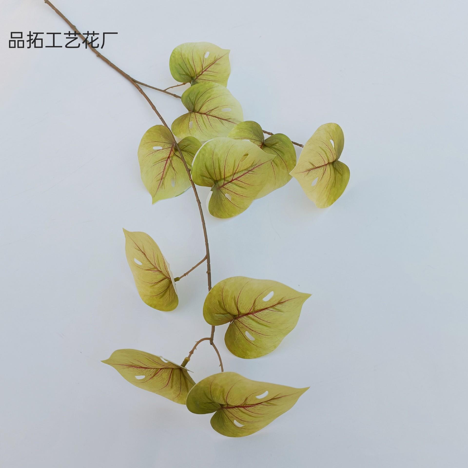 6cedab7f1526bb60aba0063d32d185