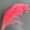 Flor sonhadora flor macia material de arte grama de cabelo longo decoração de casamento flor seca grama de dragão flor eterna multicolorida atacado