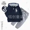 Comercio Exterior Ropa Infantil Primavera y Otoño Conjunto Infantil de Dos Piezas Material Sudadera Sudadera con Capucha Ropa Infantil para Bebés Ropa de Salida [Al por Mayor]