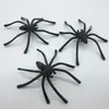Araña pequeña Halloween vaso completo araña juguete variedad de especificaciones de araña se pueden mezclar en bolsas pequeñas araña negra divertida