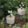 Adornos de Artesanía de Vidriado Zibo Orquídea Suzuki Planta Verde en Maceta Especialidad de Boshan Decoración del Hogar Regalo de Escritorio