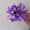 Horquilla de estilo pastoral con forma de estrella y flor de Bianhua, estilo antiguo de hada, con clip lateral Hanfu.