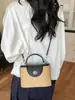 Bolso de Mano de Nicho de Moda con Hebilla de Cerradura para Mujer, Nuevo Modelo Primavera 2026, Bolso de Hombro y Cruzado Exquisito, Simple y Elegante