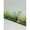 Decoración de paisajismo de plantas verdes cortas plantas artificiales sala de estar interior muebles blandos tienda de paisajes pequeños montones de hierba musgo micro paisajismo
