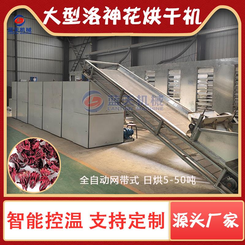 网阿.jpg