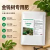 Fertilizante especial para árvores da sorte, terra especial com nutrientes para plantas em vasos, fertilizante misto para plantas verdes de interior