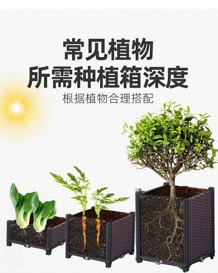未标题-1_10.jpg