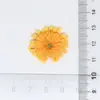 Flores de Primavera e Folhas Verdes Desenho Animado Acessórios de Resina Cola Branca DIY Grampo de Cabelo Artesanal Joias Fivela de Sapato Material para Capa de Celular