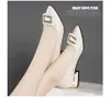 Sapatos de Salto Fino de Couro Envernizado Bico Fino, Sapatos de Couro Femininos de Salto Médio, Novo Estilo Primavera 2026, Sapatos Femininos de Boca Rasa para Trabalho, Sapatos para Todas as Estações
