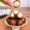 Recién llegado: 500g Nueces de Macadamia Hawaianas, Frutos Secos, Nueces y Semillas, Snacks Navideños, Snacks para Mujeres Embarazadas, Sabor Original a Leche, En bolsa y en lata
