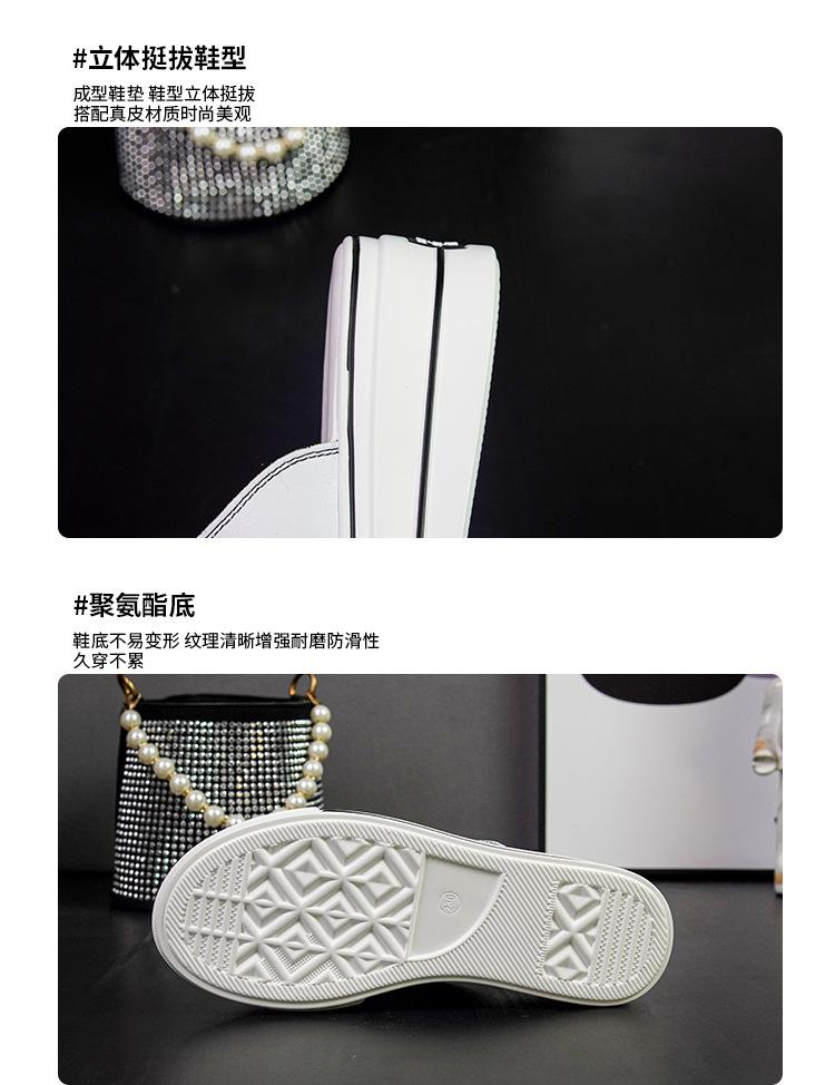 通用版-拷贝_05.jpg