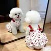 Lindo Vestido de Princesa de Verano para Gatos y Perros Pequeños como Bichón, Pomerania y Teddy; Ropa de Verano Ligera y Transpirable