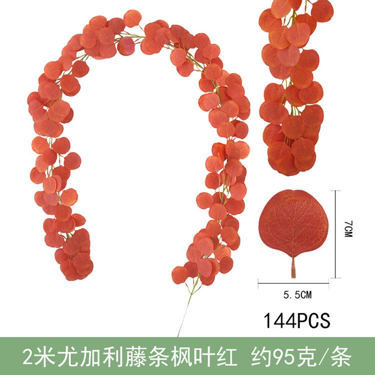 2米尤加利藤条-枫叶红.jpg