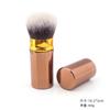 Stock Listo Cepillo de Maquillaje Retráctil Portátil Carcasa Metálica Pincel para Rubor Contorno Facial Mini Pincel de Polvos Herramienta de Maquillaje