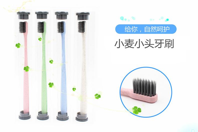 5503999712_856344222