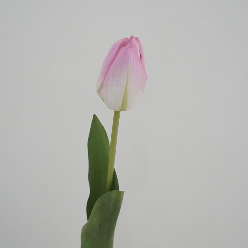 DSC09621_副本