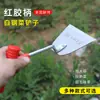 Pala de Acero Blanco para Verduras, Pala Pequeña para Plantar Flores en Jardinería, Plantación de Verduras Agrícolas, Deshierbe, Cavar Tierra, Arrancar Malas Hierbas, Cavar al Aire Libre para Verduras Silvestres, Pala para Ajo