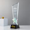 Trofeo de cristal colorido medalla producción ventas seguro excelente personal Trofeo de color equipo rotulación