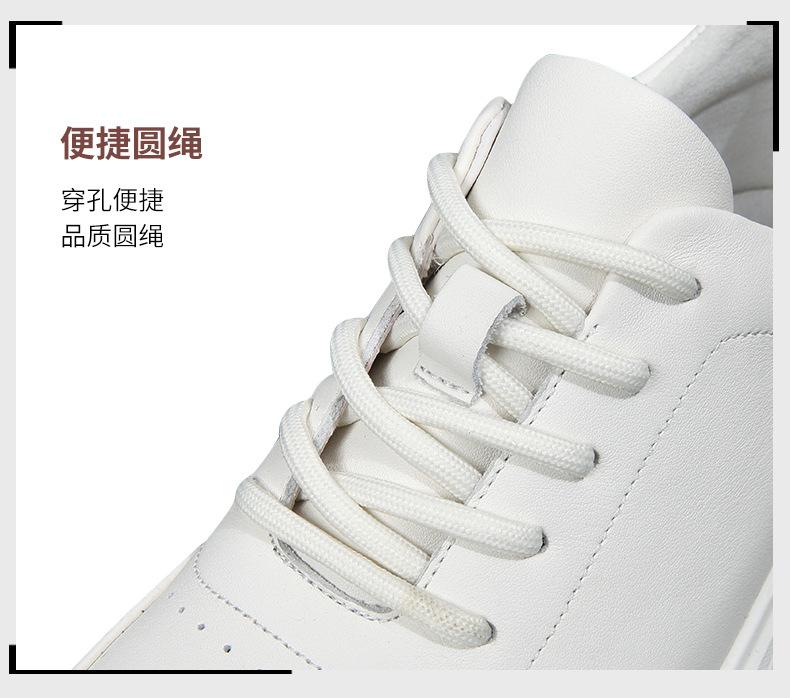 0796详情_11.jpg