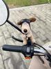 Perro Líder Lindo Batería Magnética Decoración de Motocicleta Accesorios Muñeco de Coche Eléctrico Emmayadi Accesorios de Modificación