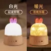 Luz de Noche de Hipopótamo Creativo Transfronteriza de Silicona, Luz Táctil, Decoración de Dormitorio, Protección Ocular, Alimentación de Bebé, Luz de Noche Compañera de Sueño