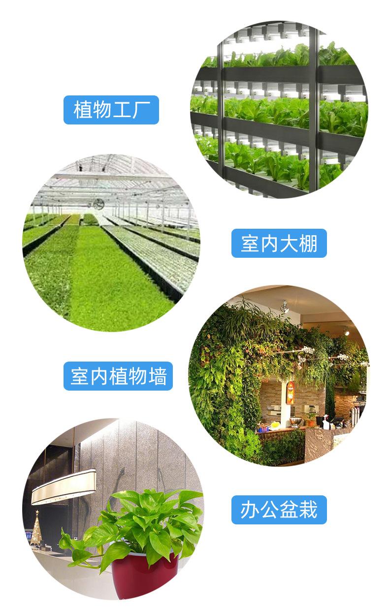 植物灯应用.jpg