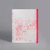 Bolsa de Hojas Sueltas Transparente con Cremallera y Agujeros de Lentejuelas A4A5A6 Bolsa para Documentos Impermeable Esmerilada Ecológica Bolsa para Documentos con Separadores