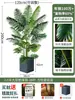 Palmera Areca Artificial Grande de Lujo de Gama Alta, Planta Verde, Árbol Falso, Planta de Bambú Cola de Fénix para Decoración de Paisajismo Tropical de Interiores