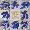 Flores Artificiales Simuladas Azul Oscuro Flores de Seda Flores de Plástico Artificiales Decoraciones de Sala de Estar de Gama Alta Productos Florales Terminados para Bodas