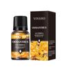 Aceite Esencial de Aromaterapia Soluble en Agua para Refrescar el Aire del Hogar, Dormitorio y Coche y Difusor de Fragancia Duradera Fabricante Mayorista de Aceites Esenciales de Madera