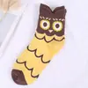 Calcetines para Mujer Primavera y Verano Nuevos Dibujos Animados Búho Personalizados Algodón Calcetines de Caña Media Transpirables Fabricante Casual Venta al por Mayor