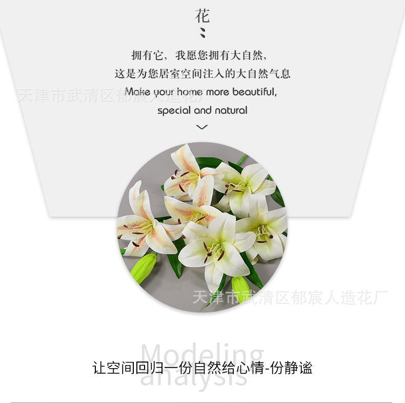 详情_05.jpg